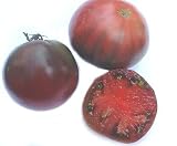 Alte, seltene, purpur-pinke Fleischtomate - Cherokee purple - 10 Samen