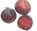 Alte, seltene, purpur-pinke Fleischtomate - Cherokee purple - 10 Samen