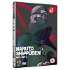 Naruto Shippuden - Box Set 6 [DVD]