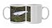 Silver (Coho) salmon (Oncorhynchus Kisutch) with fly in the mouth, Coghill Photo Mugs