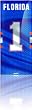 Skinit Protective Skin Fits Ipod Nano 4G (University of Florida Gators)