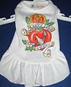 Pet Flys Puppy Love Forever Dog Dress at The Regal Dog - Size XS