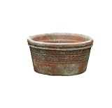 Greenhouse Collection Large Seed Pans (Set of 4)