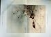 1912 Colour Print Partridges Birds Winter Snow Grass