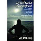 My Final Work of Divine Indifference