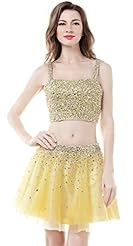 Organza Sleeveless Lace Beaded Cocktail Full Length Short Homecoming Dress 