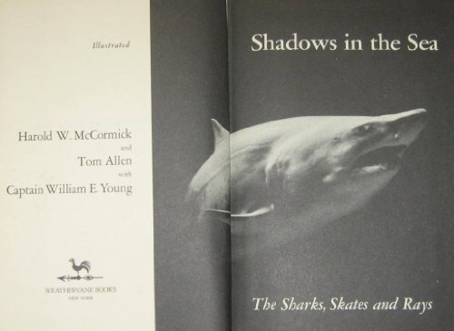 shadows in the sea sharks skates  rays