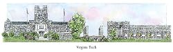 Virginia Tech University - Collegiate Sculptured Ornament