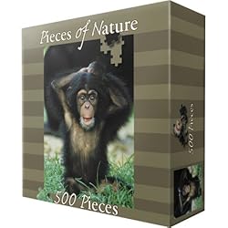 Chimpanzee Jigsaw Puzzle 500pc