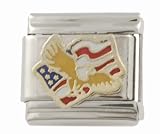 SilverBin Enamel Paint Patriotic Eagle American Flag Stainless Steel Italian Charm Link