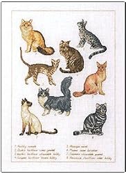 Permin Cat Breeds Kitty Counted Cross Stitch Kit 70-6402