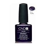 Shellac Rock Royalty (New March 2011)