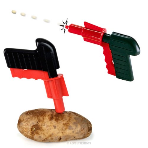How to Build a Spud Gun or Potato Cannon