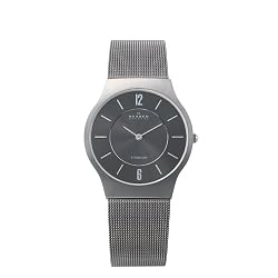 Skagen Men's 233LTTM Titanium Mesh Watch