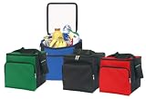Ensign Peak Large Insulated Cooler Bag