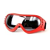 Downhill Fashion Ski / Snowboard Goggle - SG036