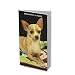 Chihuahuas 2010 Weekly Pocket Planner