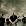 Demon Hunter