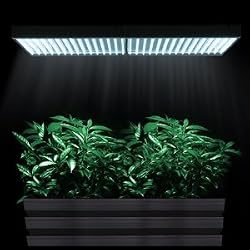 New Invention 450 Sunlight High Power Hydroponic Plant Grass Herb Flower Growing Grow LED Light Lamp Panel