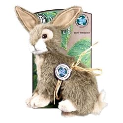 AKC Green Planet Rabbit Lrg Dog Toy