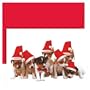 Jack Russell Terriers Boxed Christmas Cards