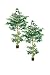 TWO Pre-Potted 8' Artificial Fishtail Palm Trees