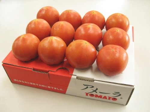 ���󤭤� �Ų����������٥ե롼�ĥȥޥȡڥ��᡼���1kg�ν̾�����