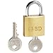 BD 305494 Brass Security Lock with 2 Metal Keys for Sharps Collectors, 1" Width x 1-3/4" Height x 1/4" Depth (Case of 12)