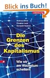 Die Grenzen des Kapitalismus: Wie wir am Wachstum scheitern