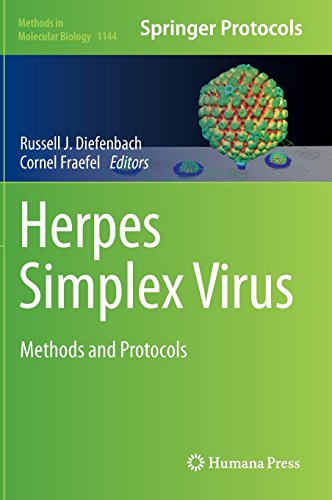 Herpes Simplex Virus: Methods and Protocols (Methods in Molecular Biology)