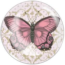 Butterfly Design Small Round Glass Tray