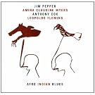 Afro Indian Blues