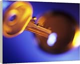 Review Media Storehouse  / Lock and key - 16 Inch Canvas Print (40 cm) by Science Photo Library