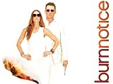 Burn Notice Season 4