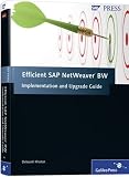 Efficient SAP NetWeaver BW Implementation/Upgrade Guide