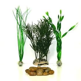 Plant Ring Mega Gold Décor Kit for biOrb & biUbe Aquariums