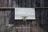 Wallmonkeys Peel and Stick Wall Decals - Basket - 18