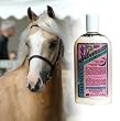 Silverado Citrus Shampoo Pint