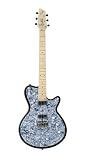 Godin Radiator Chambered Electric Guitar (Black Onyx)