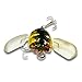 bouti1583 Fishing Tackle Lure Snakehead Bass Killer Insect Cicada Freshwater Bait 6g