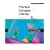 Practical Computer Literacy (Practical (Thomson))