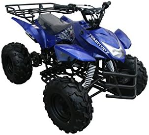 Dong Fang 125cc Four Wheeles ATV for Kids with Reverse Blue 3125a