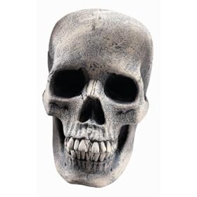 Rubies Halloween Decoration Human Skull, 8" Wide and 6" High