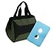 Fit & Fresh Downtown Insulated Designer Lunch Bag, Green/brown, 9x6x8 Inches