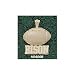 North Dakota State Bison Solid 10K Gold Classic ''BISON'' Football Pendant