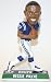 2010 Reggie Wayne Indianapolis Colts End Zone Base Bobblehead