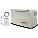 GeneracGuardianSeries550314,000WattAir-CooledPropane/NaturalGasPoweredHomeAutomaticStandbyGeneratorwithSteelEnclosure(CARBCompliant)