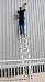 New Xtend & Climb PRO Telescopic Ladder 3.8m Image