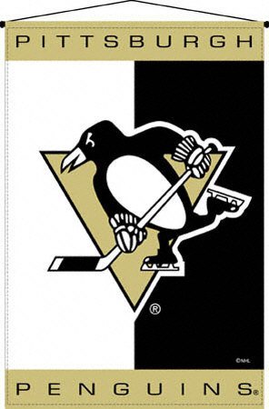 Buy Pittsburgh Penguins Wall Hanging by Biederlack