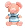 Wibbly Pig Bean Toy with a T-Shirt by Rainbow Designs